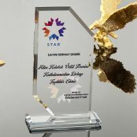 P109 Kristal Cam Plaket