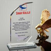 P122 Kristal Cam Plaket 