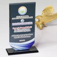 P127 Füme Kristal Cam Plaket