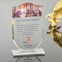 P201 Kristal Cam Plaket