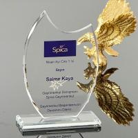 P218 Kristal Cam Plaket