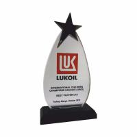 P233 Kristal Cam Plaket