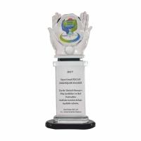 P246 Kristal Cam Plaket