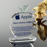 P258 Kristal Cam Plaket